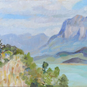 Mediano meadow 1