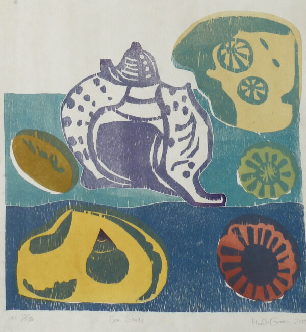 Sea shell 10/25